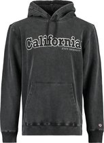 America Today Hoodie Sage hood California