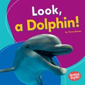 Bumba Books ® — I See Ocean Animals - Look, a Dolphin!