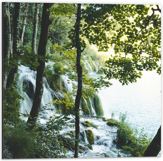 Dibond - Watervallen in het Bos met Bomen - 50x50cm Foto op Aluminium (Met Ophangsysteem)