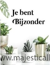 Wenskaart je bent bijzonder - Bijbel - Christelijk - Majestic Ally - 6 stuks