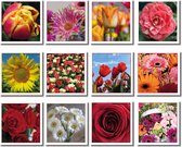 Fotokaarten bloemen
