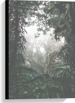Canvas  - Tropische Planten - 40x60cm Foto op Canvas Schilderij (Wanddecoratie op Canvas)