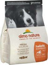 Almo Nature Hond Holistic Droogvoer voor Middelgrote tot Grote Hondenrassen - Maintenance - Rundvlees, Kip, Zalm of Lam in 400gr, 2kg of 12kg - Smaak: Kip, Gewicht: 12kg - Large