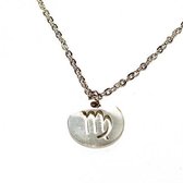 Sterrenbeeld ketting rond - Zilver (maagd)