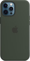 Apple Siliconenhoesje met MagSafe voor iPhone 12 Pro Max - Cyprus groen
