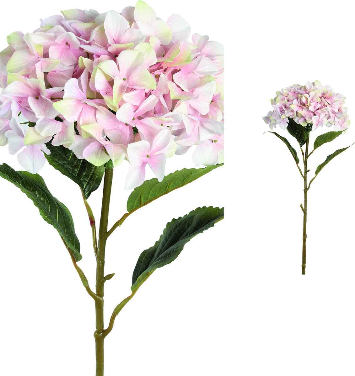 PTMD Hydrangea Flower Hortensia Prikker - 41 x 34 x 111 cm - Roze