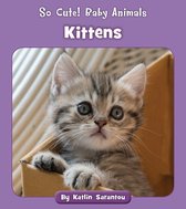 So Cute! Baby Animals - Kittens