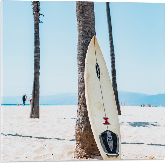 Acrylglas - Surfplank Tegen Palmboom op het Strand - 50x50cm Foto op Acrylglas (Met Ophangsysteem)