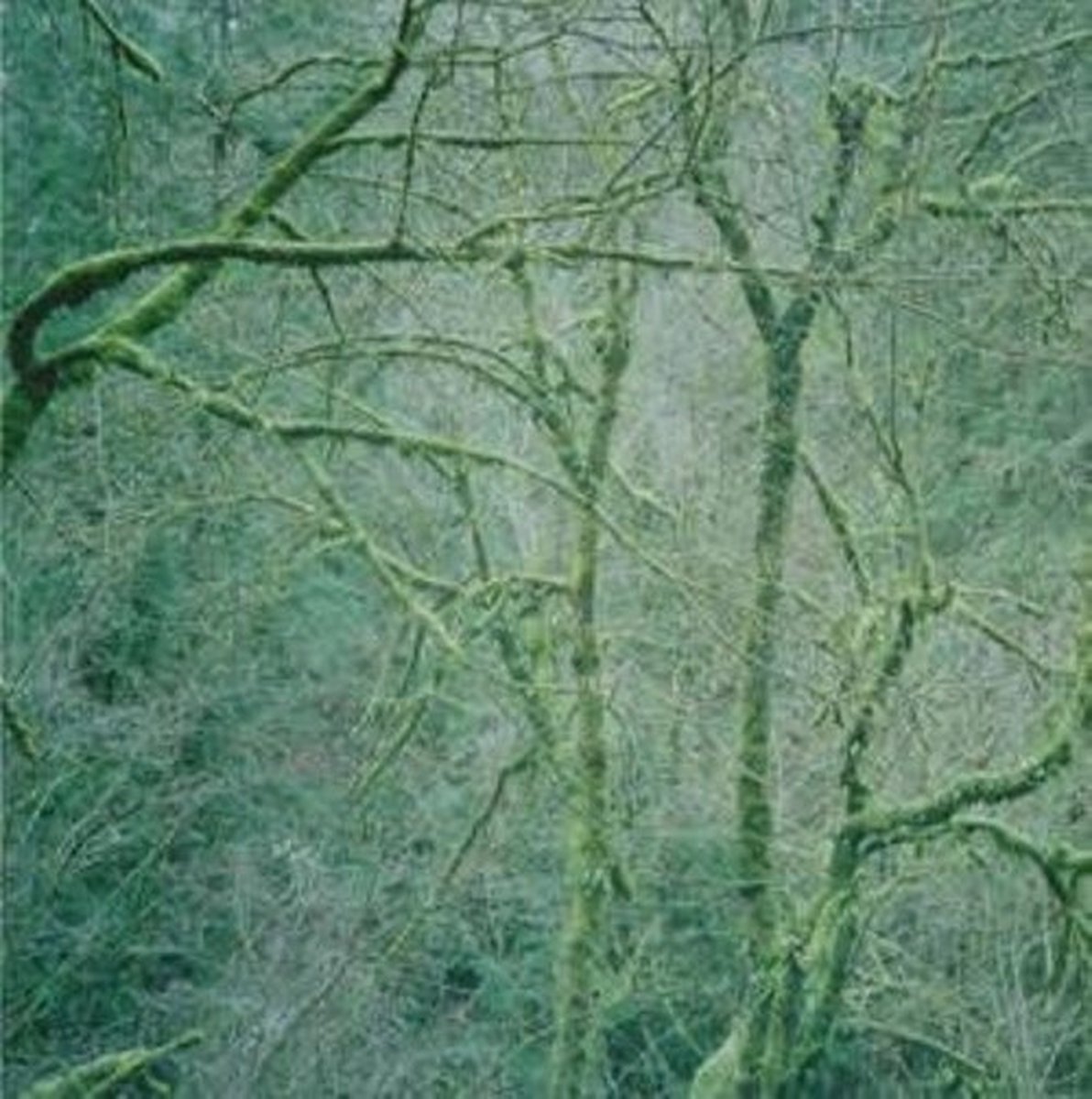 Six Organs Of Admittance - Dust & Chimes (LP) (Coloured Vinyl)