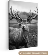 Canvas schilderij - Dieren - Hert - Gewei - Bos - Natuur - Wanddecoratie - 90x140 cm - Foto op canvas - Canvasdoek