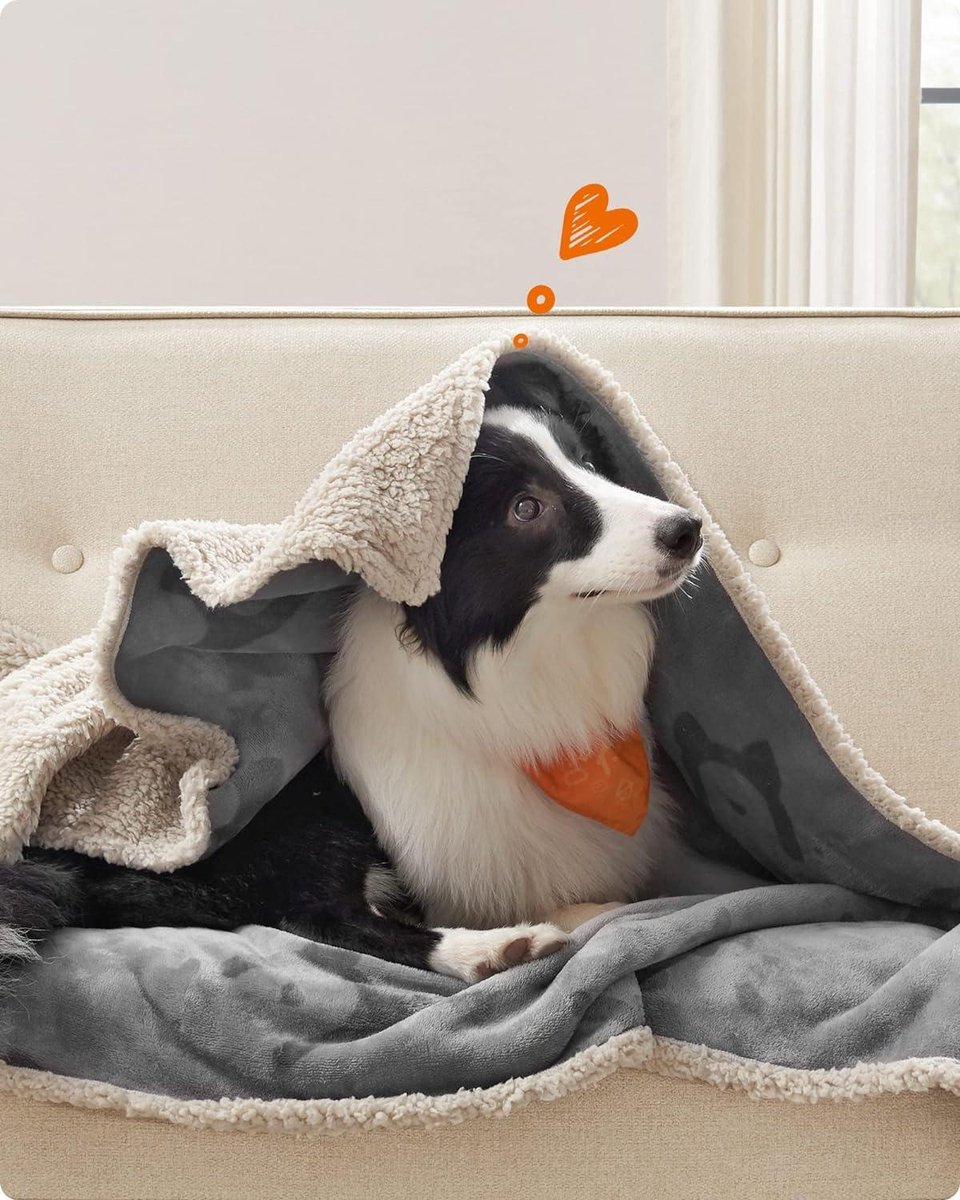 PETTOM Waterdichte Hondenkatdeken (150x127cm), Wasbare Fleece Dikke Pluizige Anti-plas Huisdierdeken voor Bed/Bank - Grijs PETTOM Waterdichte Hondenkatdeken (150x127cm), Wasbare Fleece Dikke Pluizige Anti-plas Huisdierdeken voor Bed/Bank - Grijs