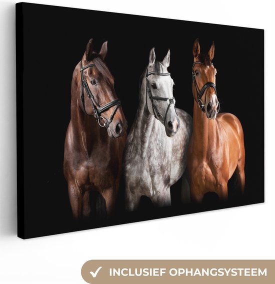 Peintures Paarden - Animaux - Zwart - 120x80 cm - Décoration murale