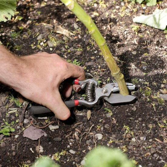 Traditionele bypass- en aambeeld tuinschaarset snijset met 8 gereedschappen van GARDENA — afbeelding 2