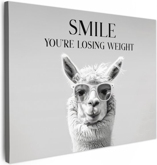 Peinture sur toile 40x30 cm - Décoration murale salle de bain Citations - Lama - Smile - Dictons - Grijs - Décoration murale WC - Accessoires décoratifs - Décoration murale Toilettes - Peintures sur toile