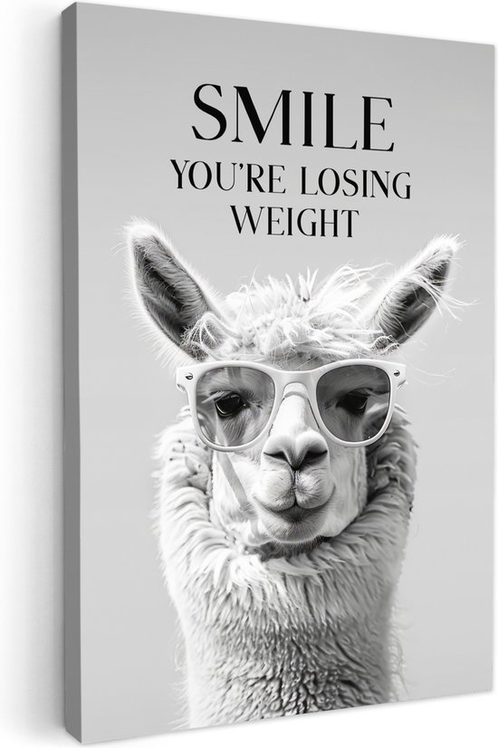 Peinture sur toile 40x60 cm - Décoration murale salle de bain Citations - Lama - Smile - Dictons - Grijs - Décoration murale murale WC - Accessoires décoratifs - Décoration murale Toilettes - Peintures sur toile