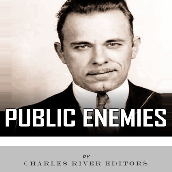 Public Enemies - cover