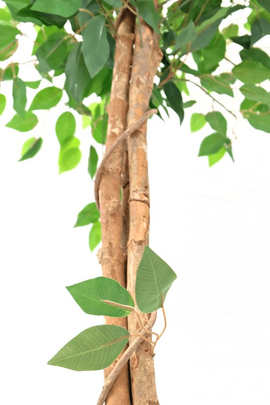 Arbre artificiel Ficus 150cm | Arbre artificiel Ficus avec tronc | Arbre artificiel Ficus pour l'intérieur | Ficus artificiel vert avec tronc