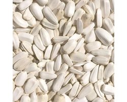 Witte zonnebloempitten - 2,5 kilo - Overige zaden - Vogelvoer - Vogelzaad - Enkelvoudige vogelzaden