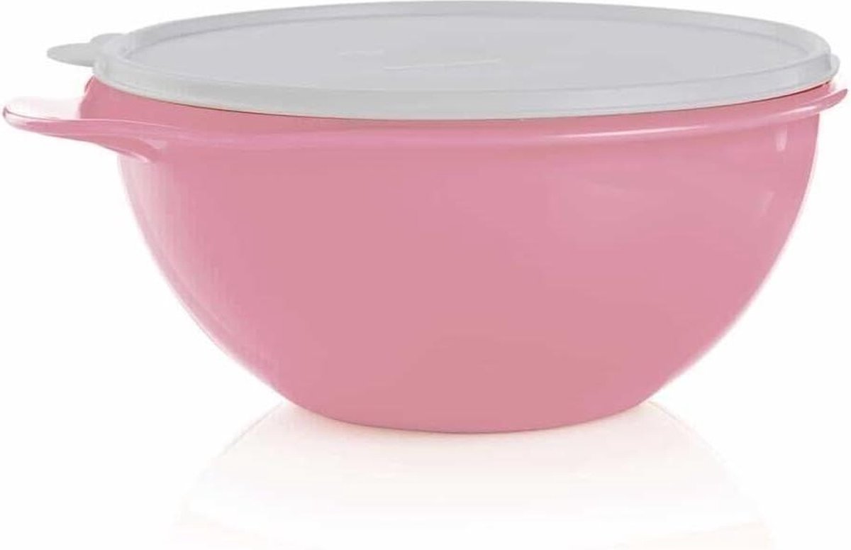 Vintage Mengkom - Thatsa Bowl 32 Cup 7.8L Wit en Roze