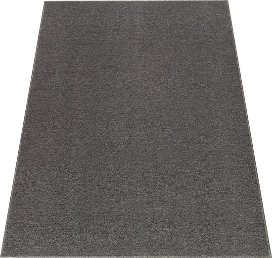 Tapis Tapiso Nizza Tapis Grijs à Poils Ras Antidérapant Lavable Taille - 80x150
