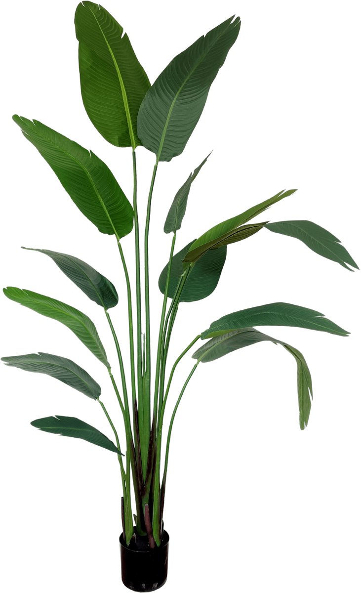 PrettyPlants Strelitzia Kunstplant 210 cm | Strelitzia Nicolai Kunstplant Groen | Kunst Strelitzia | Kunstplanten voor Binnen