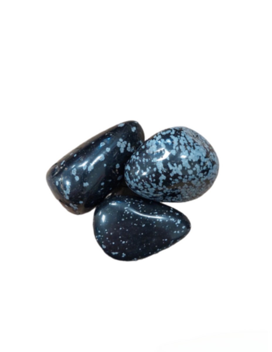 Ruben Robijn Obsidiaan sneeuwvlok trommelstenen 100 gr. (mt3) Wit / zwart