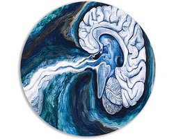 Hersenen rond schilderij - Orgaan wandcirkel - Wandschalen Water - Woonkamer decoratie industrieel - Schilderij forex - Decoratie woonkamer muurcirkel forex 40x40 cm