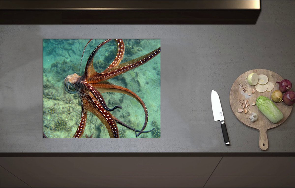 Inductieplaat Beschermer - Bruine octopus zwemt door de zee heen - 60x51 cm - 2 mm Dik - Inductie Beschermer - Bescherming Inductiekookplaat - Kookplaat Beschermer van Wit Vinyl