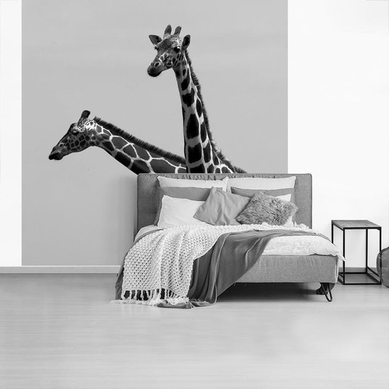 Bol Com Fotobehang Vinyl Twee Giraffes In Zwart Wit Breedte 300 Cm X Hoogte 300 Cm Foto