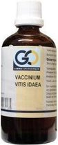 Go Vaccinium Vitis Idaea