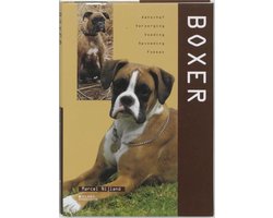 Boxer