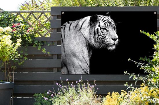 Tigre blanc de Sibérie sur fond noir affiche de jardin toile en vrac 180x120 cm - Toile de jardin / Toile d'extérieur / Peintures d'extérieur (décoration de jardin) XXL / Groot format!