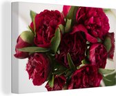 Bouquet de pivoines rouges sur fond blanc Toile 30x20 cm - petit - Tirage photo sur toile (Décoration murale salon / chambre) / Peintures Fleurs sur toile