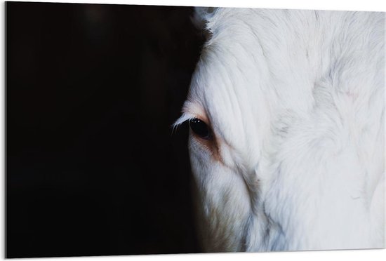 Acrylglas - Oog van Wit Paard op Zwarte Achtergrond  - 120x80cm Foto op Acrylglas (Met Ophangsysteem)