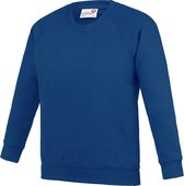 Awdis Academie Kinderen/Kinderen Bemanningsleden Hals Raglan School Sweatshirt (Diep koninklijk)