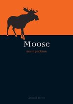 Animal - Moose