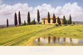 Jim Chamberlain - Tuscan Hillside #5 Kunstdruk 91x61cm