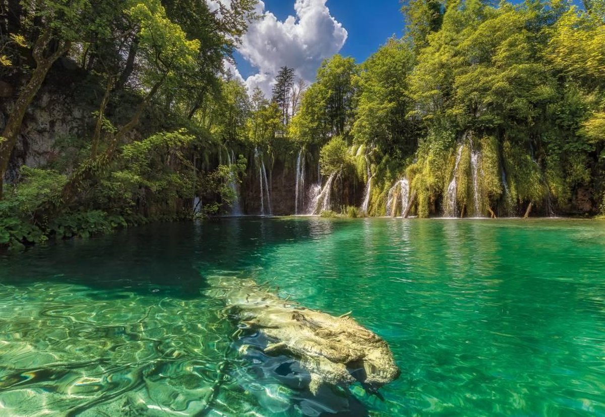 Fotobehang Eden Falls