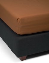ESSENZA Premium Percale Hoeslaken Leather Brown - 90x200 cm