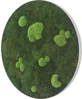 Stylegreen Ronde verticale tuin - Forest & Pole moss - Diameter 54cm