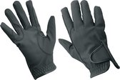 Handschoenen Rider Pro Lincoln winter