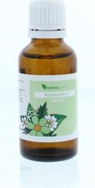 Balance Pharma RGP004 Nieren Regenoplex 30 ml