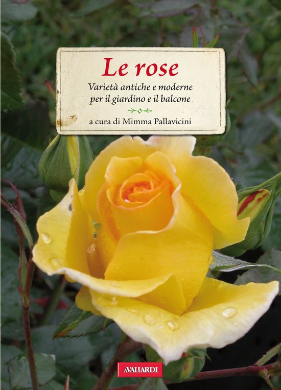 Le rose - cover