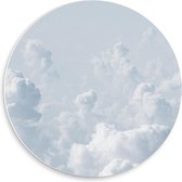 Forex Wandcirkel - Wolkenvelden - 50x50cm Foto op Wandcirkel (met ophangsysteem)