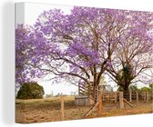 Canvas Schilderij Jacaranda bomen aan een hek - 90x60 cm - Wanddecoratie