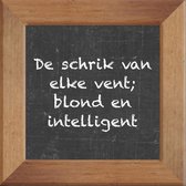 Wijsheden op krijtbord tegel over Overig met spreuk :De schrik van elke vent blond en intelligent