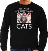 Kitten Kerstsweater / Kersttrui All I want for Christmas is cats zwart voor heren - Kerstkleding / Christmas outfit 2XL