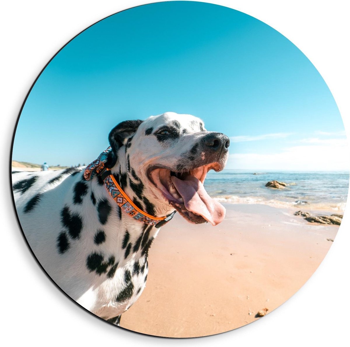 Dibond Wandcirkel - Blije Dalmatiër Hond op het Strand - 40x40cm Foto op Aluminium Wandcirkel (met ophangsysteem)