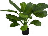 Kunstplant Calathea Fasciata 53 cm in pot