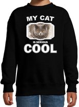 Britse korthaar katten trui / sweater my cat is serious cool zwart voor kinderen 14-15 jaar (170/176)